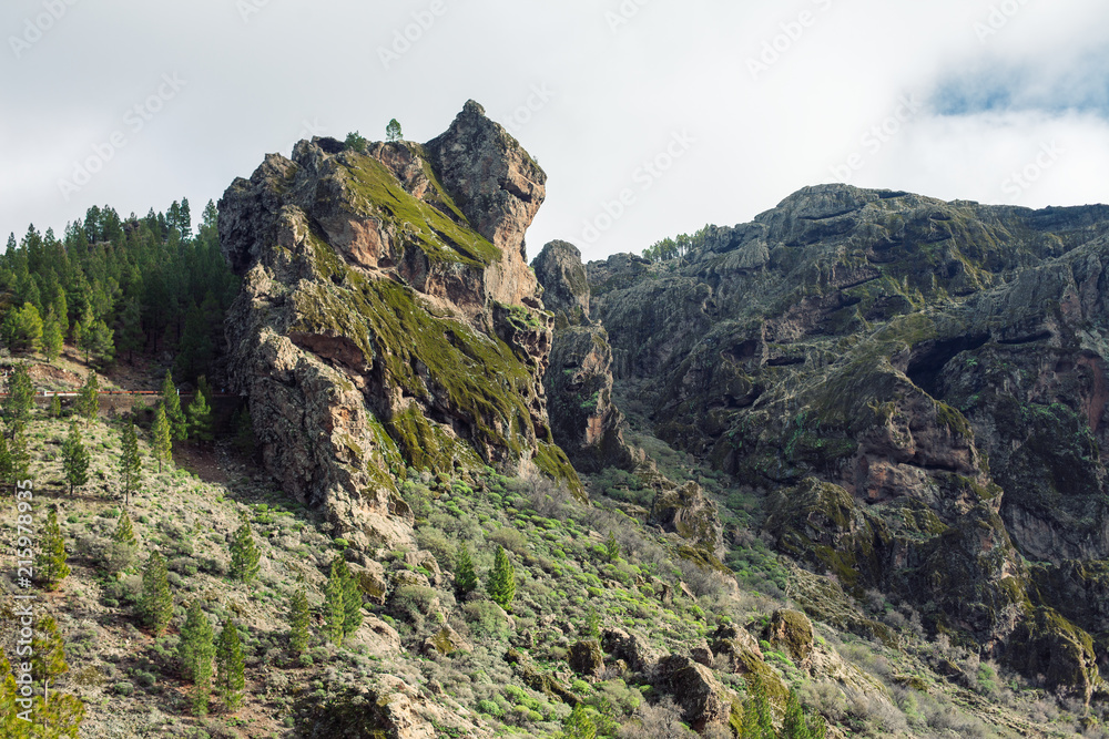 Beautiful landscape of Gran Canaria nature