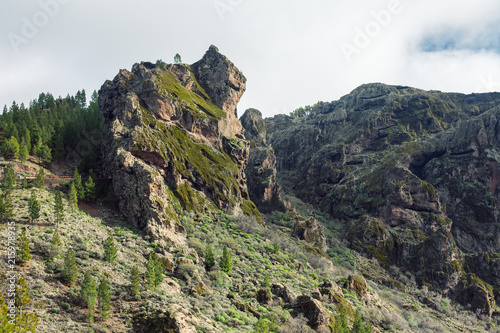 Beautiful landscape of Gran Canaria nature