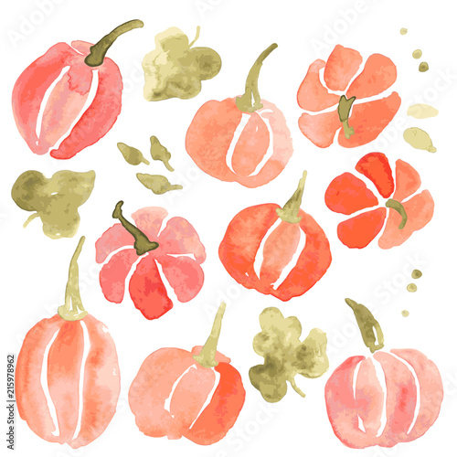 Watercolor collection of hand drawn pumpkins and leaves. Autumn pumpkins for Thanksgiving and Halloween cards design.