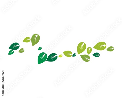 Tree leaf vector logo design, eco-friendly concept. 