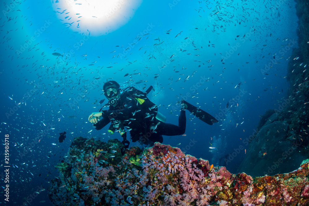 SCUBA diver swimming over a colorful, beautiful tropical coral reef at dawn SCUBA diver swimming over a colorful, beautiful tropical coral reef at dawn