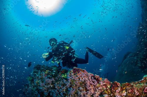 SCUBA diver swimming over a colorful, beautiful tropical coral reef at dawn