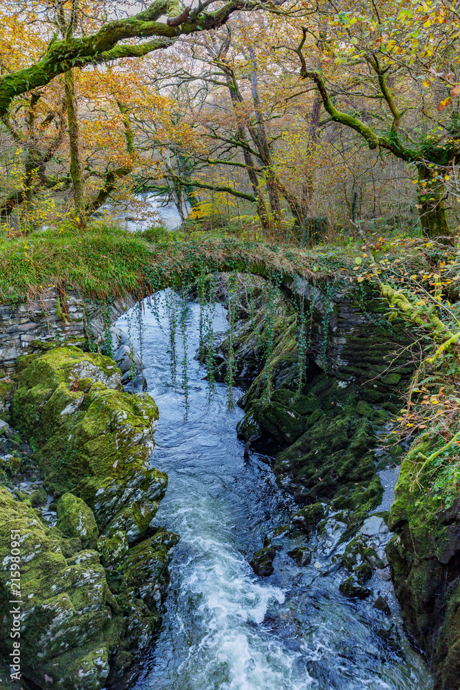 Roman Bridge at Fairy Glen, Wales, UK Roman Bridge at Fairy Glen, Wales, UK