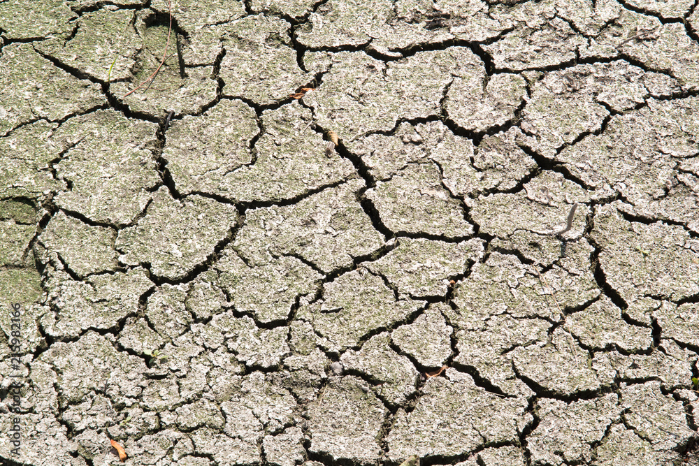 Dry cracked earth due to hot weather and drought Dry cracked earth due to hot weather and drought