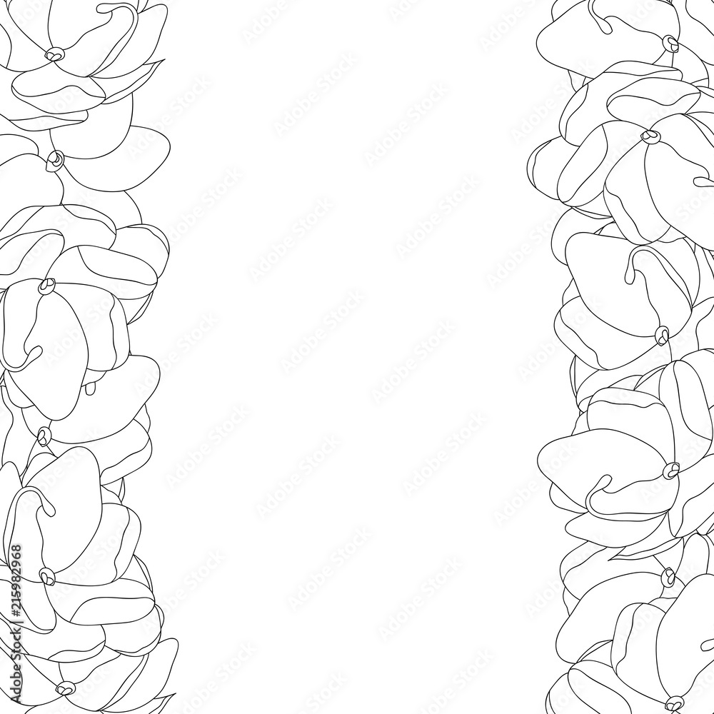 Arabian Jasmine Outline Border Arabian Jasmine Outline Border
