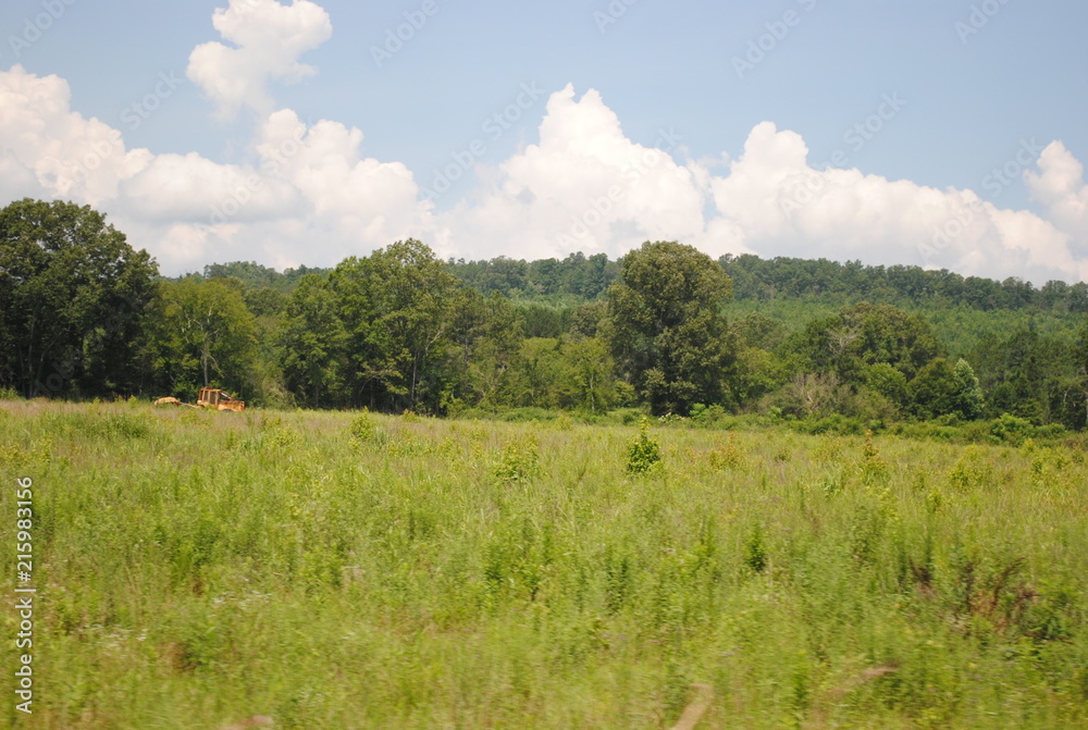 Obraz premium Country Ride 2