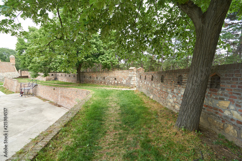 Linden trees in Belgrade fortress
