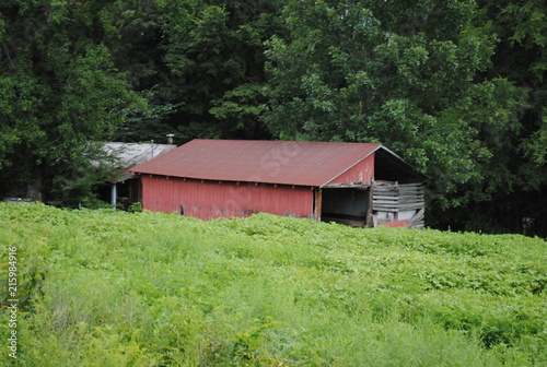 Country Ride 2 © Julie Deonna Crider