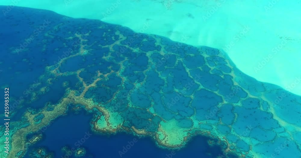 coral in aerial view in the pacific coral in aerial view in the pacific