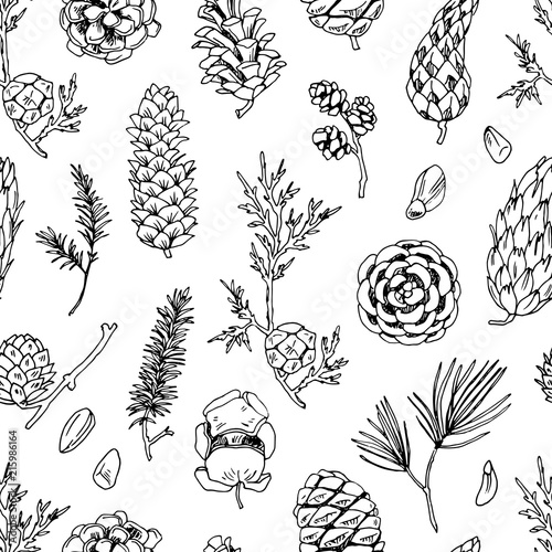 Different cones and seeds simple vector seamless pattern.