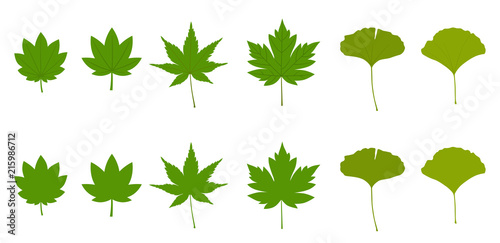 カエデ いちょうのイラストセット