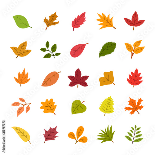 Vector illustration of autumn leaves set isolated on white background for design.