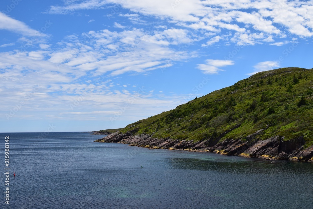 Fototapeta premium lush green hill side coastline just outside Petty Harbour, Newfoundland Canada