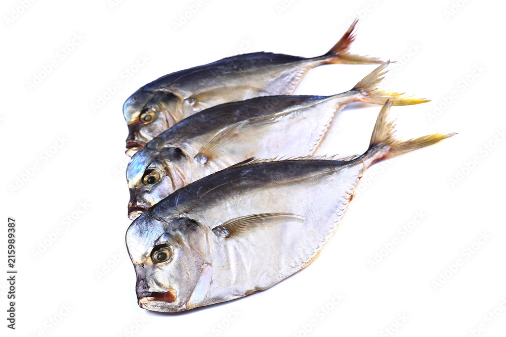 Three Vomero fish on a white background (isolated). Close up Three Vomero fish on a white background (isolated). Close up