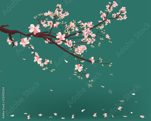 Lovely spring background with tulip flowers vector image
