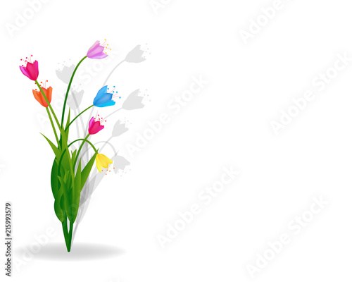 Lovely spring background with tulip flowers vector image