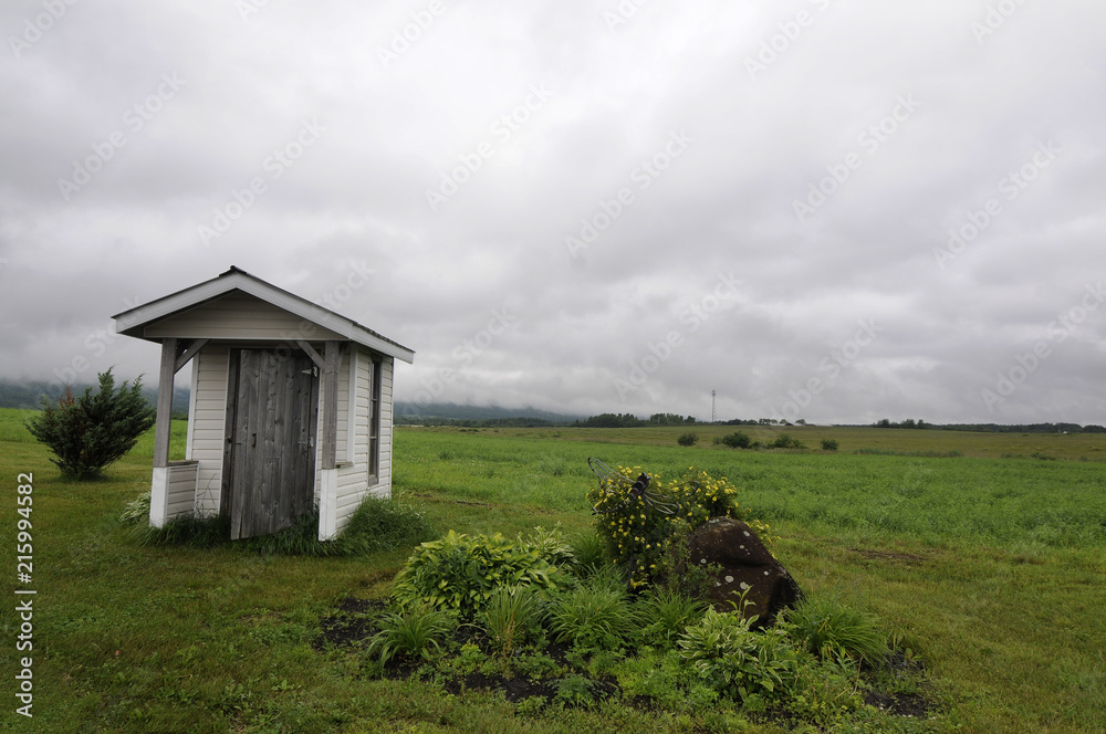 Fototapeta premium Wooden Hut In Green Pasture