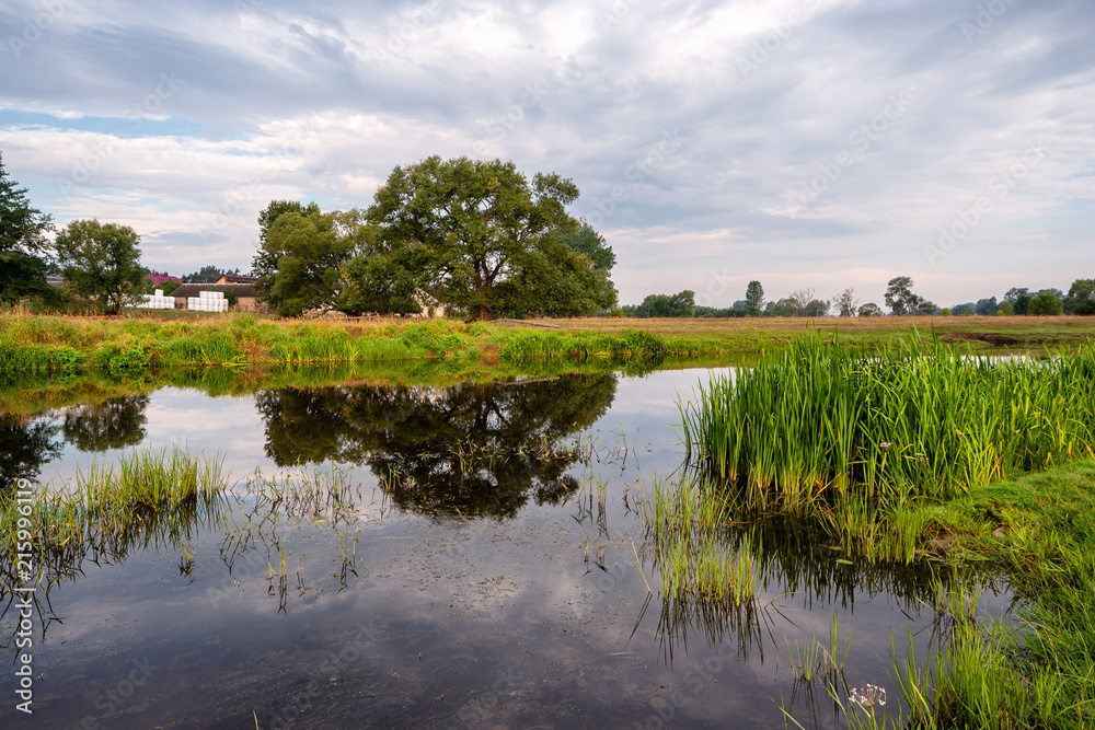 Fototapeta premium Lato nad Narwią
