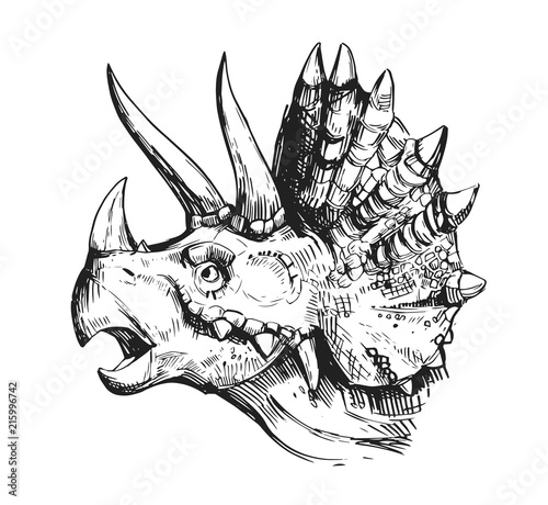 Sketch of a dinosaur head with an open mouth. Hand drawn illustration converted to vector