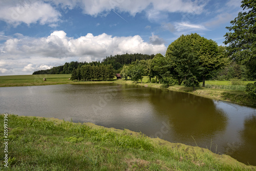 pond with a wooden fishing hut on the bank between the trees in the summer
