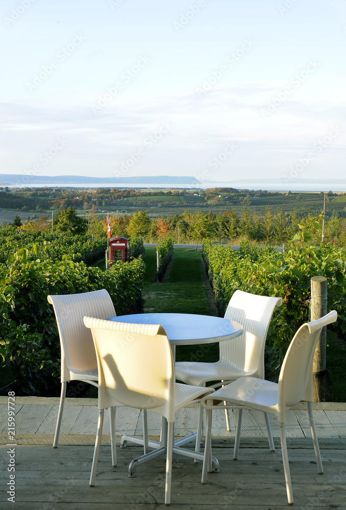 A Table And Chair In The Vinyard