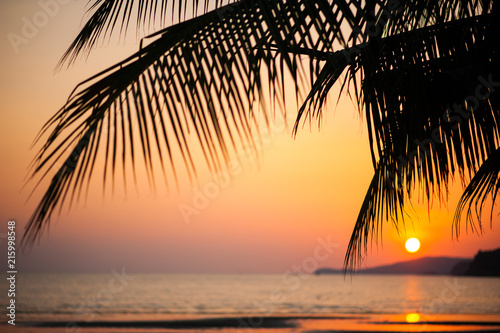 palm trees silhouette on sunset tropical beach.