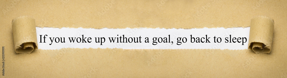 Obraz na plátně If you woke up without a goal, go back to sleep
