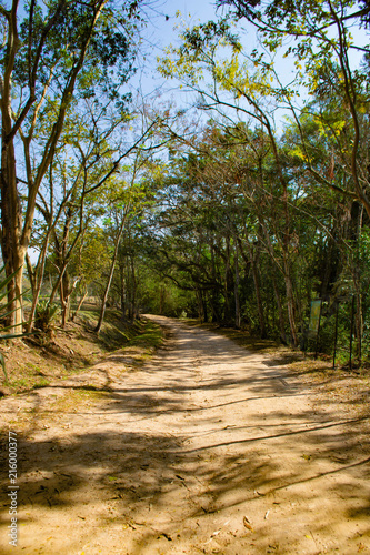 Road
