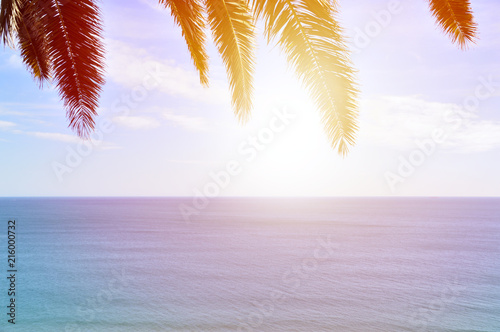 palm beach © cunaplus