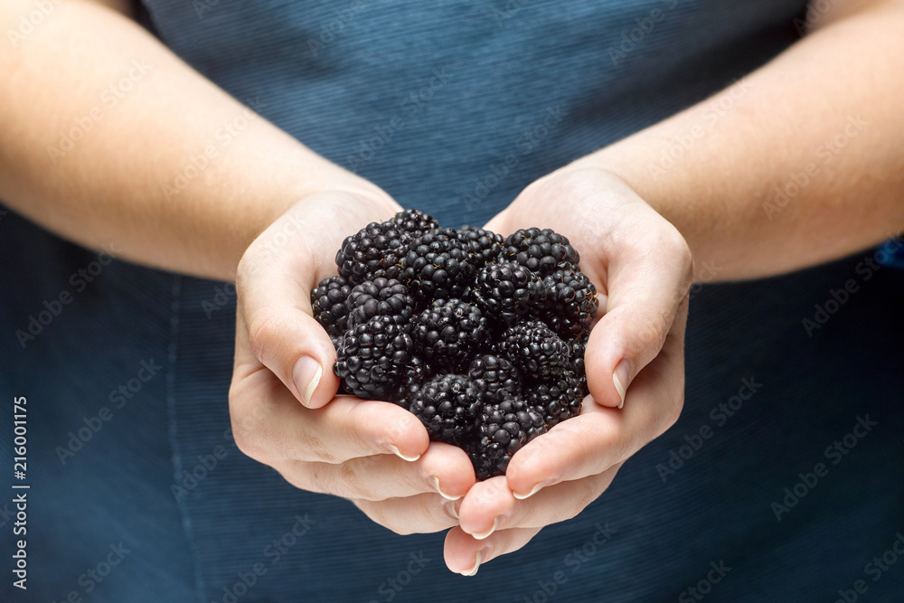 Closeup of a girl holding a blackberry berries in hands. Closeup of a girl holding a blackberry berries in hands.