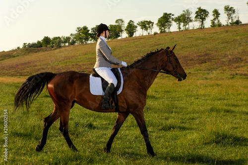 Young woman riding a horse on the green field