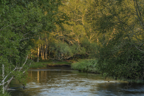 Tepla Vltava river near Soumarsky Most village