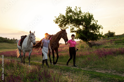 Two woman and two horses outdoor in summer happy sunset together nature