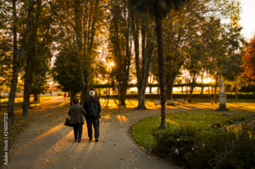 Idosos Caminhando em Parque, no outono, Arouca, amor