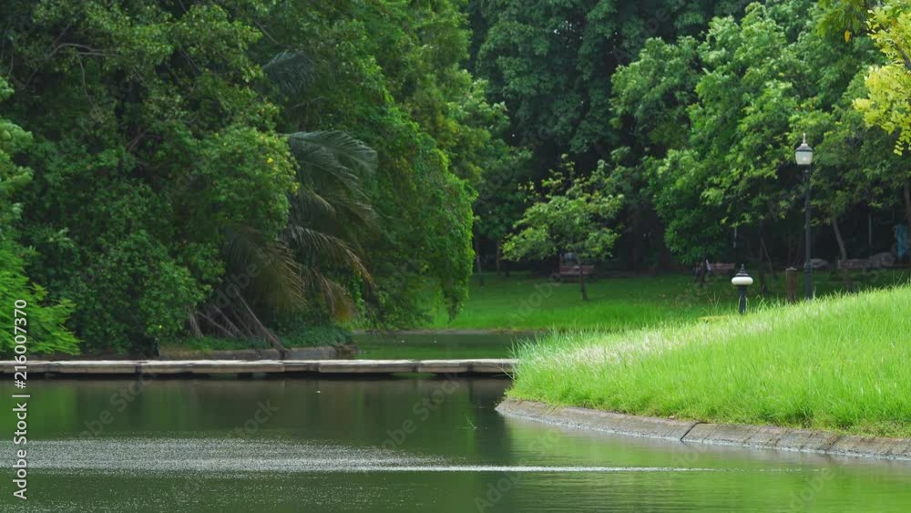 4K Beautiful scenery of public park along lake side at Bangkok, Thailand 4K Beautiful scenery of public park along lake side at Bangkok, Thailand