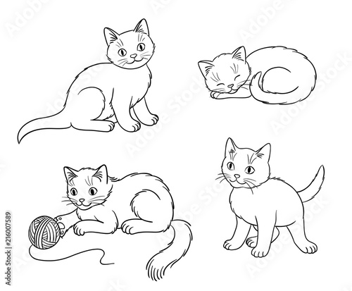 Four different kittens in outlines - vector illustration