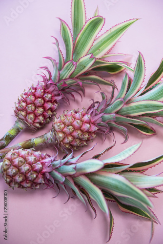 Pineappless flowers on pinl...