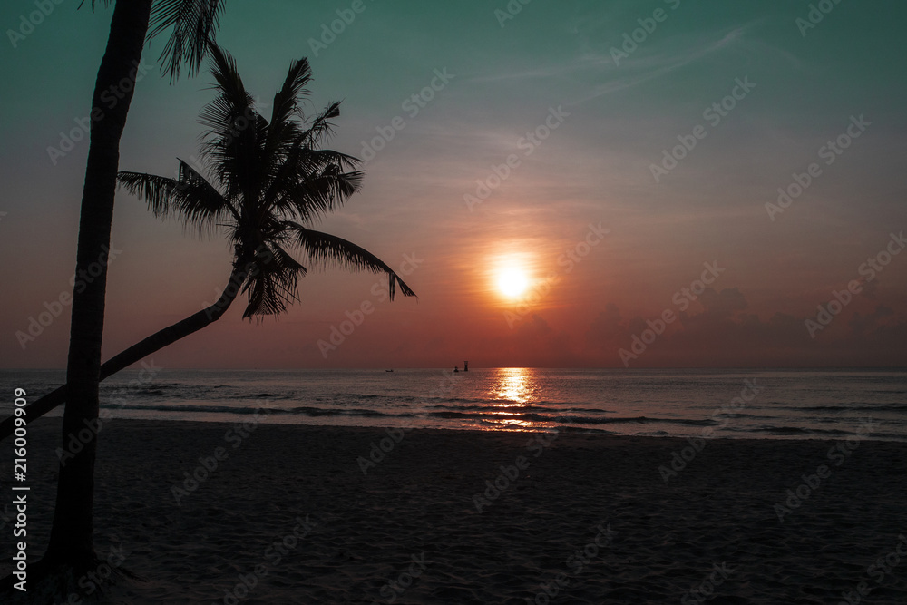 Plam trees silhouetted against the twilight sky in sunset on a beach in Hua Hin, Thailand