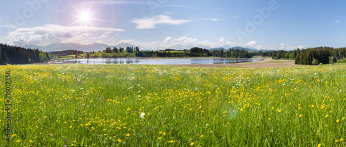 Panorama Landschaft im Frühling mit Blumenwiese, See und Berge im Allgäu in Bayern