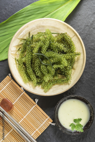 Umi-budou Seaweed or Green Caviar Healthy sea food or sea grapes seaweed on plate photo