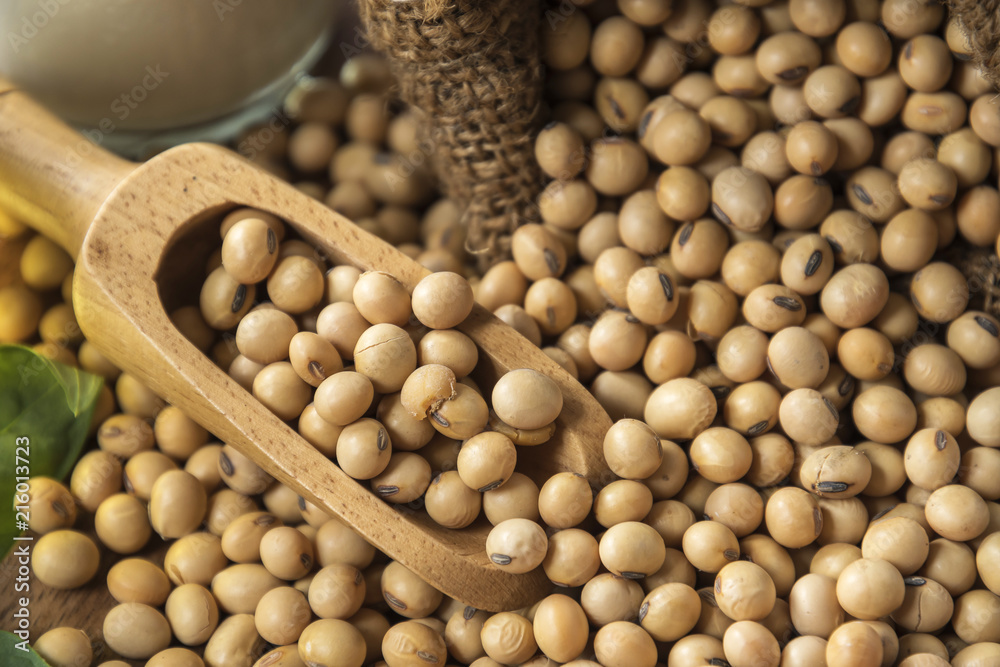 closeup is some soybeans with wooden spoon closeup is some soybeans with wooden spoon