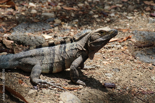 Costa Rica