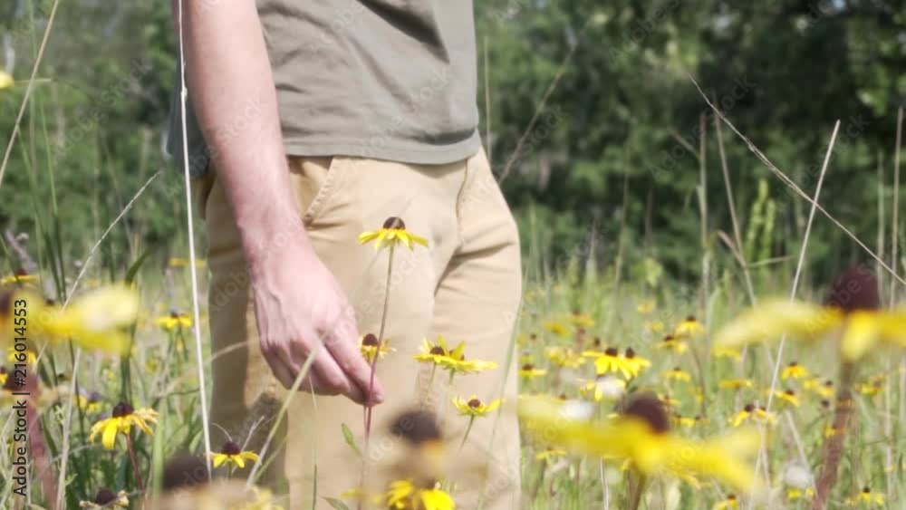 A young man holds and lets go of a wild flower that is similar to a sunflower.