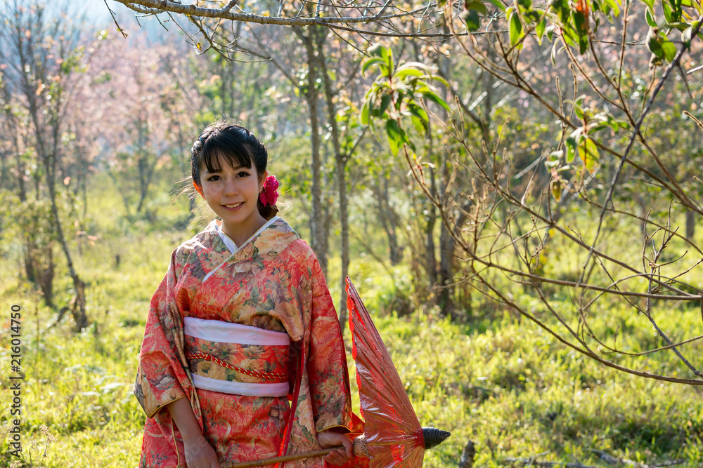 Woman kimono Japanese culture and Kimono clothing traditional dress Japanese Photo | Adobe