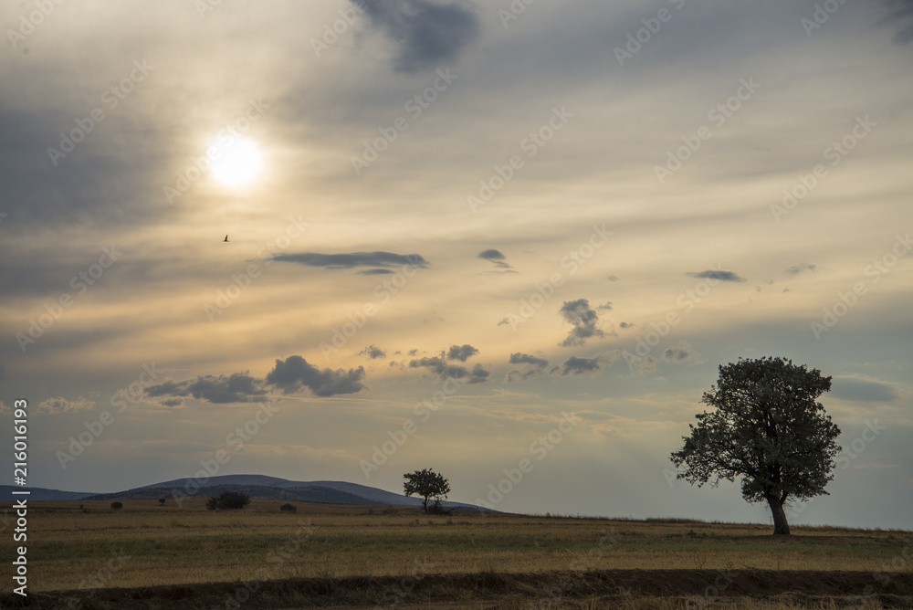 Naklejka premium sunset