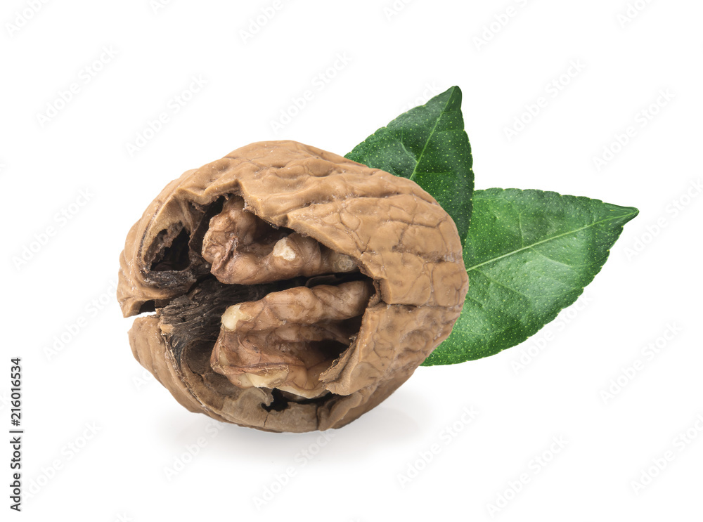 Walnut isolated on white background. Walnut isolated on white background.