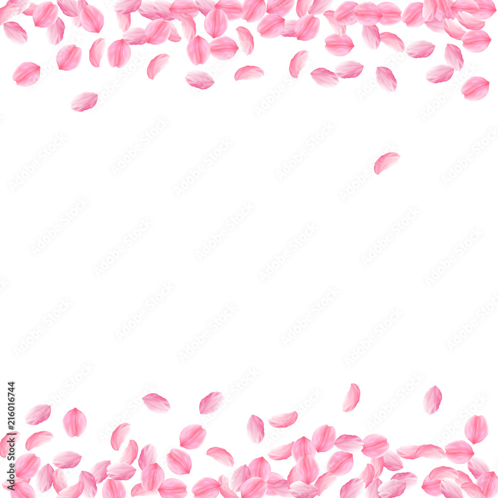 Sakura petals falling down. Romantic pink bright medium flowers. Thick flying cherry petals. Borders