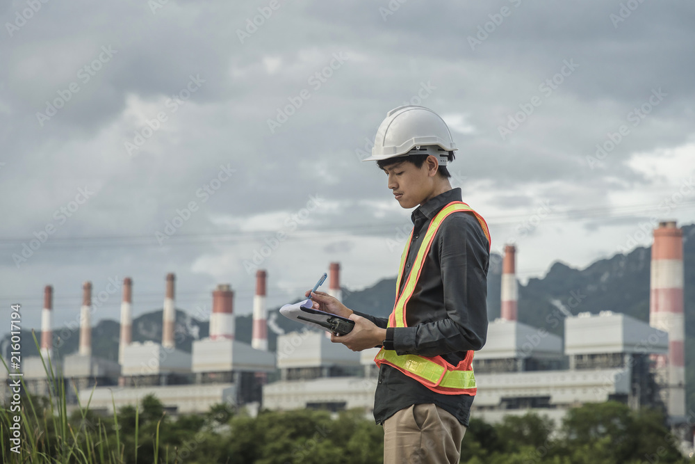 Engineering plants to generate electricity. Engineering plants to generate electricity.