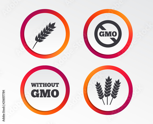 Agricultural icons. Gluten free or No gluten signs. Without Genetically modified food symbols. Infographic design buttons. Circle templates. Vector
