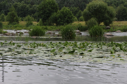 The shore of the plain river